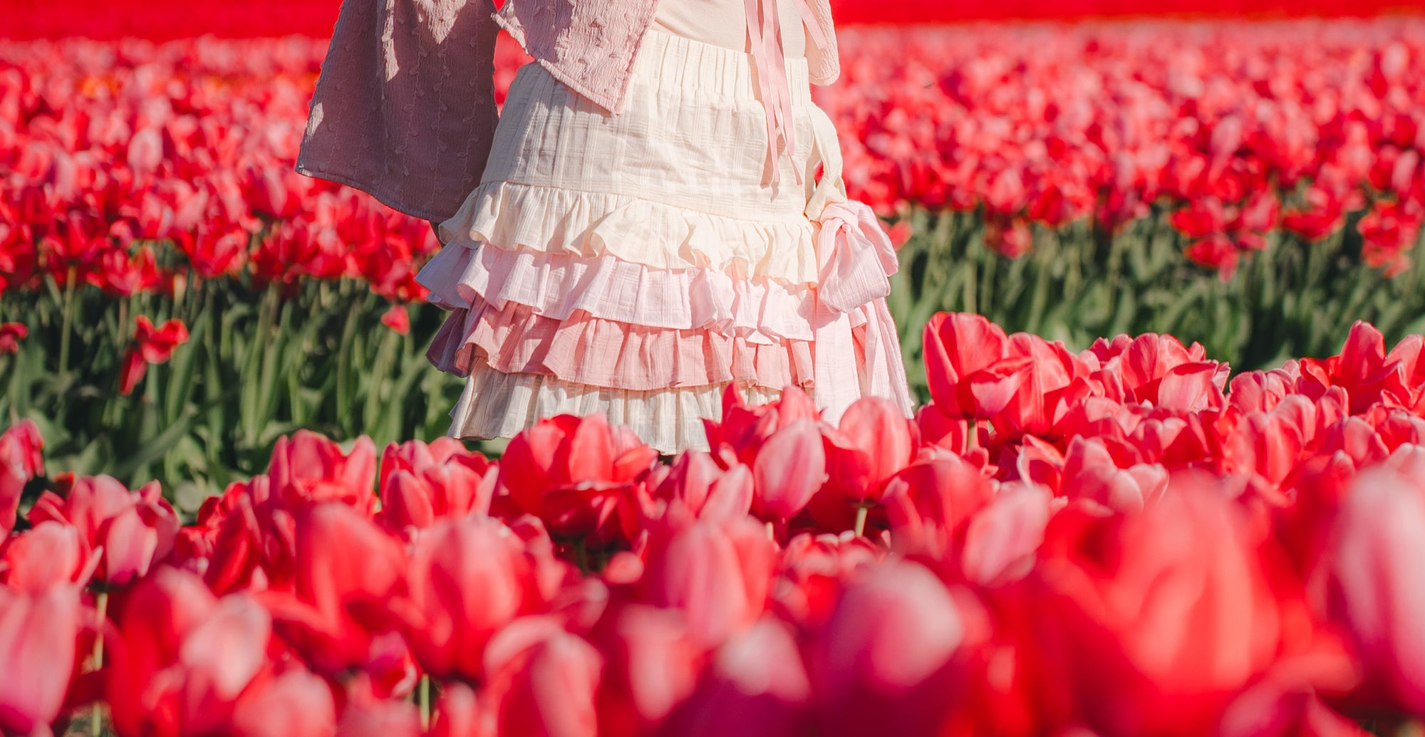 [PRE-ORDER] Strawberry Layer Cake Skirt